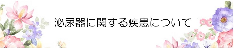 泌尿器に関する疾患について